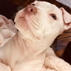 Meet your Posher, Cacarlos